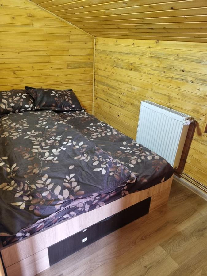 Cabana Valisoara Εξωτερικό φωτογραφία