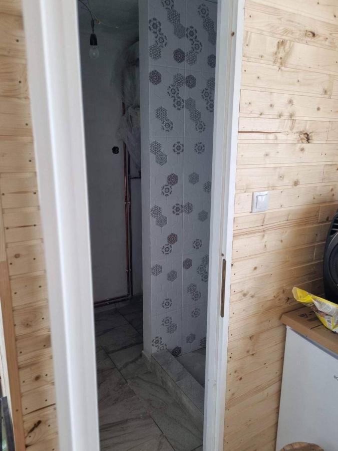 Cabana Valisoara Εξωτερικό φωτογραφία